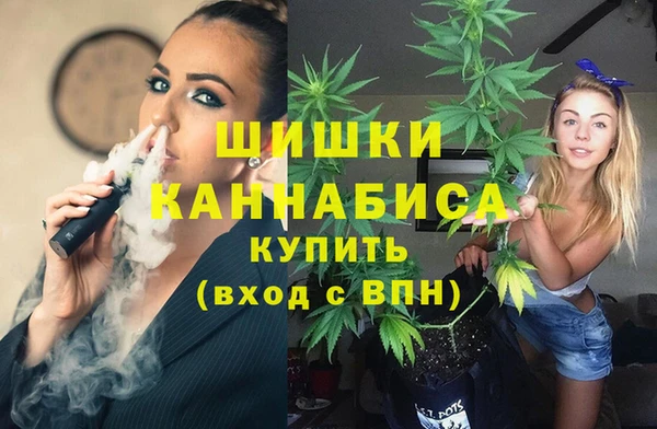 стафф Верхний Тагил