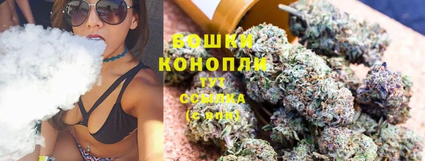 стафф Верхний Тагил