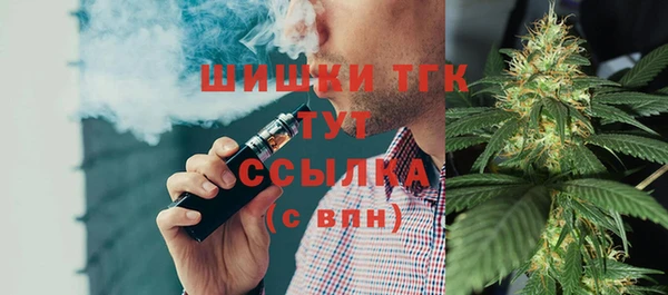 стафф Верхний Тагил