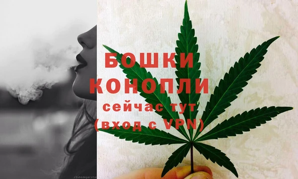 стафф Верхний Тагил