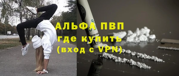 стафф Верхний Тагил
